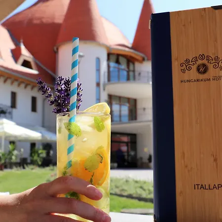 Hungarikum فندق